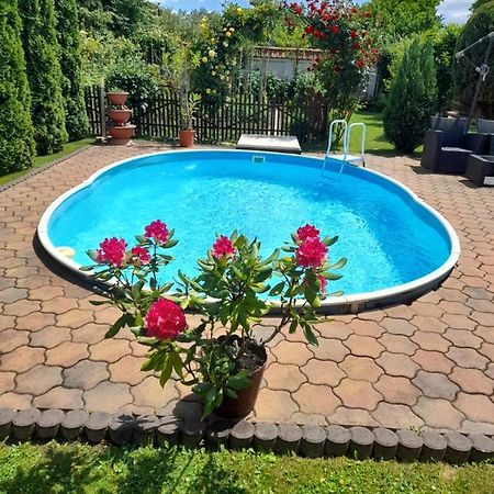Casa Ioana Villa Hátszeg Kültér fotó