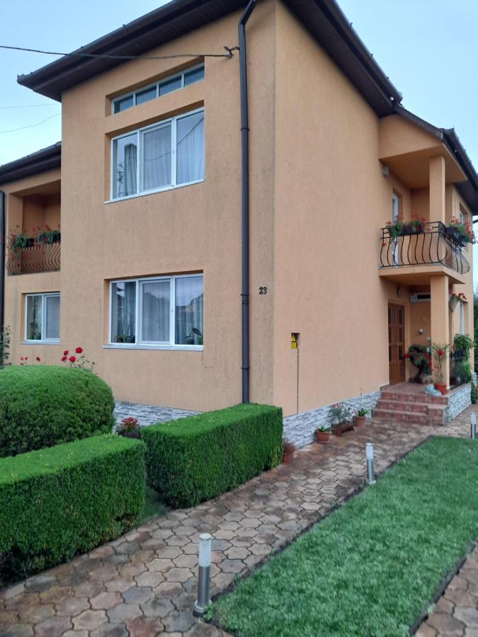 Casa Ioana Villa Hátszeg Kültér fotó