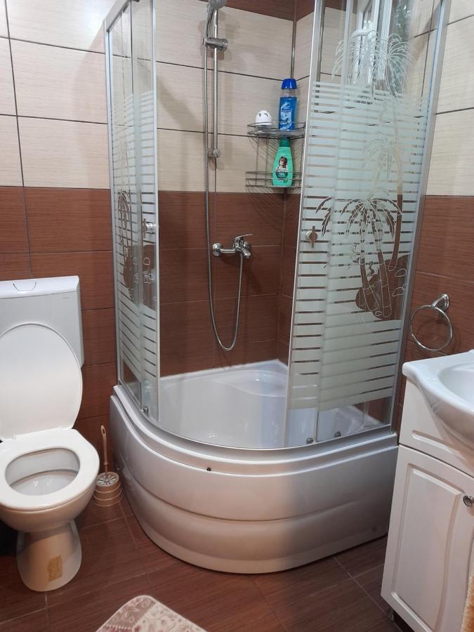 Casa Ioana Villa Hátszeg Kültér fotó