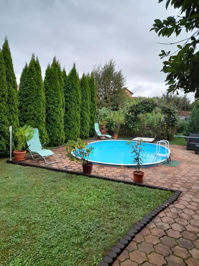 Casa Ioana Villa Hátszeg Kültér fotó