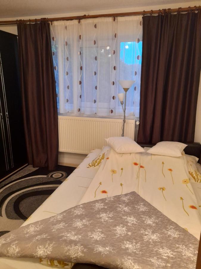 Casa Ioana Villa Hátszeg Kültér fotó