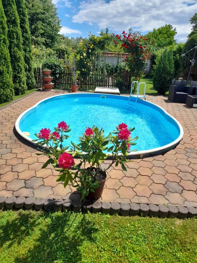 Casa Ioana Villa Hátszeg Kültér fotó