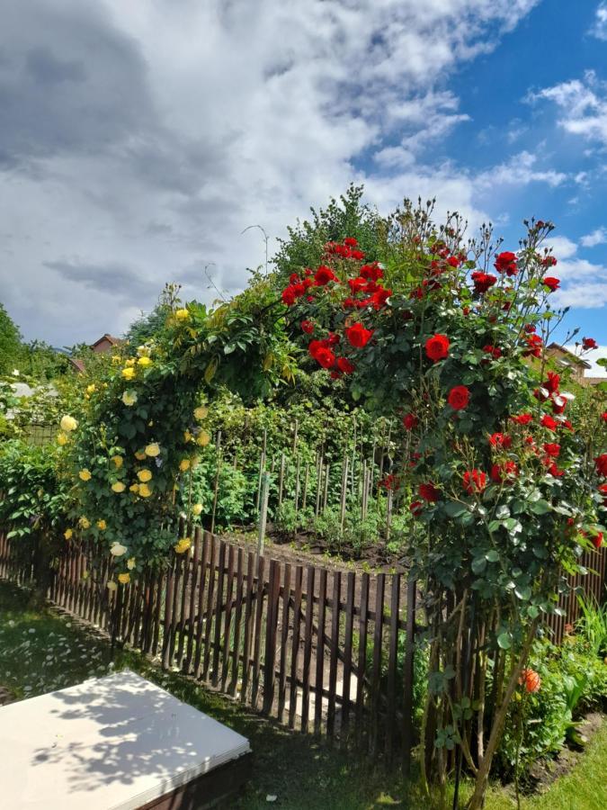 Casa Ioana Villa Hátszeg Kültér fotó