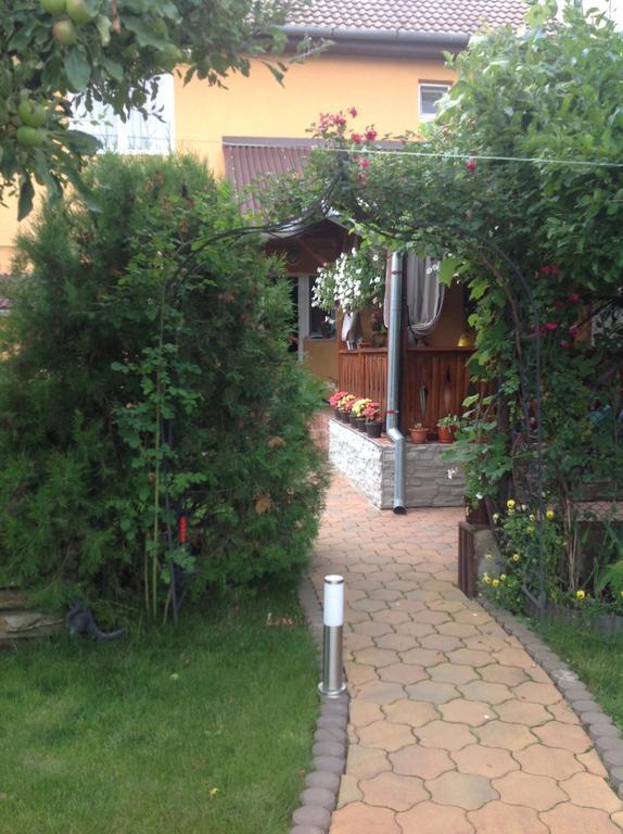 Casa Ioana Villa Hátszeg Szoba fotó