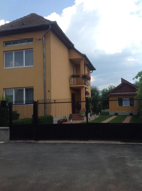 Casa Ioana Villa Hátszeg Szoba fotó