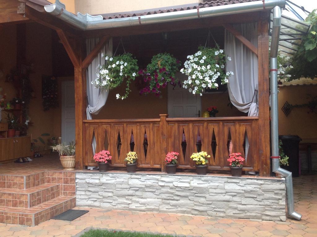 Casa Ioana Villa Hátszeg Szoba fotó