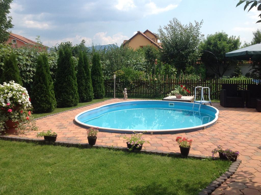 Casa Ioana Villa Hátszeg Szoba fotó